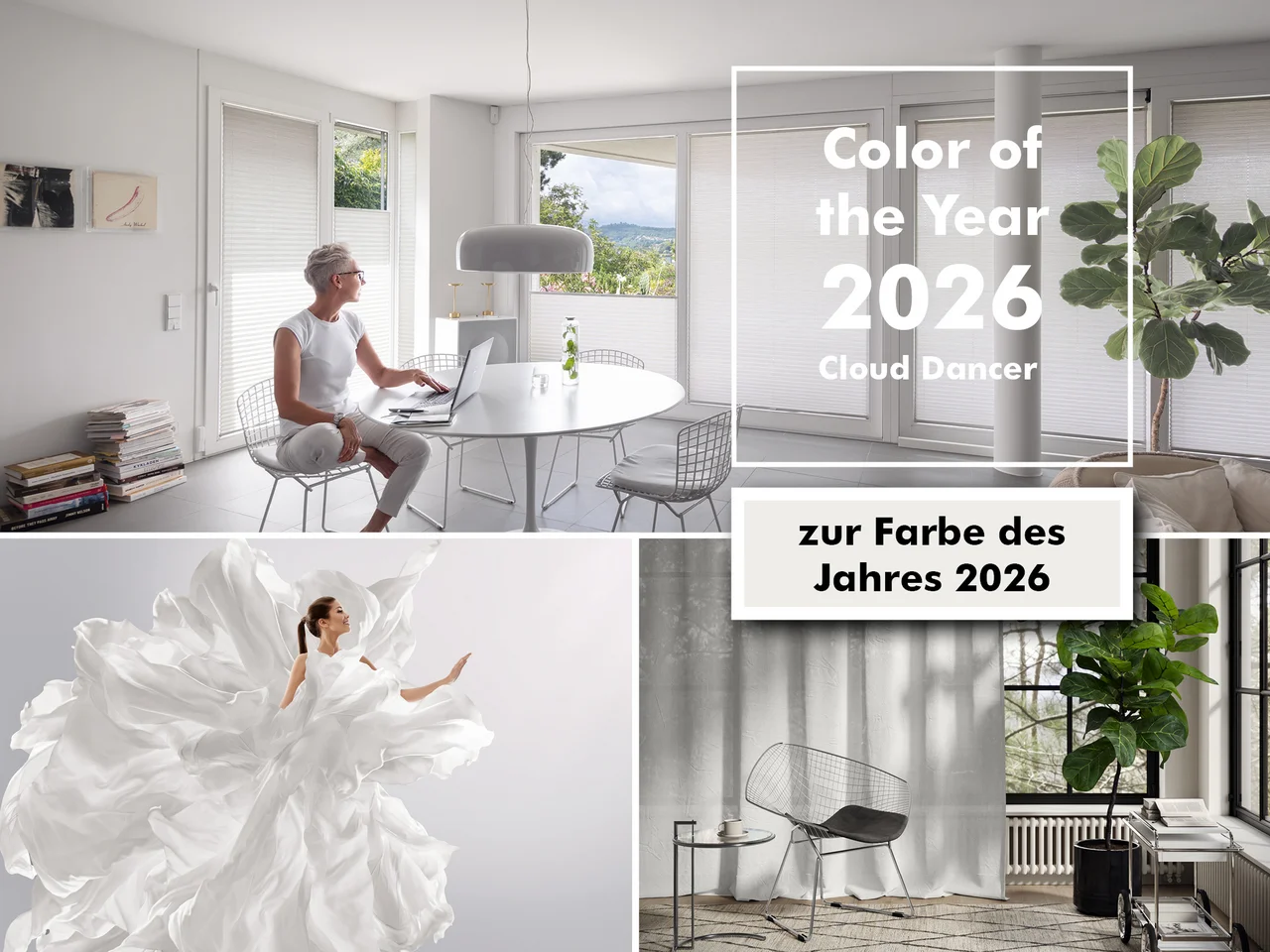 Farbtrend 2026 Color of the Year Cloud Dancer